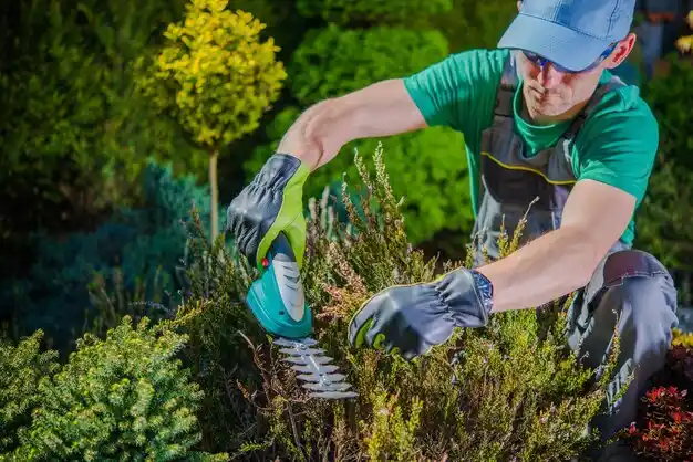 landscaping services Luckey